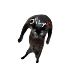 黒猫の猫氏。（個別スタンプ：6）