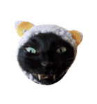 黒猫の猫氏。（個別スタンプ：10）
