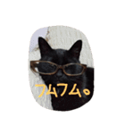黒猫の猫氏。（個別スタンプ：17）