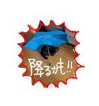 黒猫の猫氏。（個別スタンプ：20）