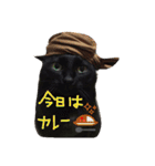 黒猫の猫氏。（個別スタンプ：21）