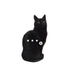 黒猫の猫氏。（個別スタンプ：27）