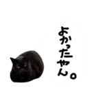 黒猫の猫氏。（個別スタンプ：30）