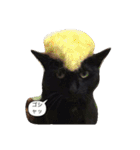 黒猫の猫氏。（個別スタンプ：40）