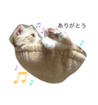 あずきなこ（個別スタンプ：8）