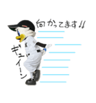 マーくん(千葉ロッテマリーンズマスコット)（個別スタンプ：10）