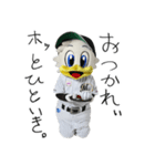 マーくん(千葉ロッテマリーンズマスコット)（個別スタンプ：12）