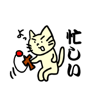 あおるねこ（個別スタンプ：8）