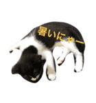 家のポニョ（個別スタンプ：14）
