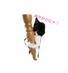 家のポニョ（個別スタンプ：16）