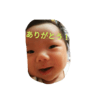 コタンプ。（個別スタンプ：4）
