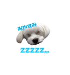 それいけ福丸！（個別スタンプ：3）