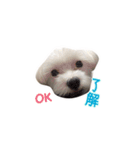 それいけ福丸！（個別スタンプ：4）