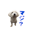 それいけ福丸！（個別スタンプ：6）