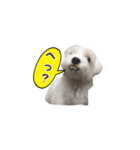 それいけ福丸！（個別スタンプ：12）