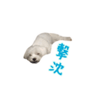 それいけ福丸！（個別スタンプ：13）
