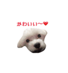 それいけ福丸！（個別スタンプ：14）