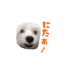 それいけ福丸！（個別スタンプ：16）