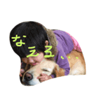 ゴールデン（個別スタンプ：7）