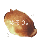 うさぎのピーター（個別スタンプ：7）