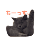 こてっちゃん。【関西弁】（個別スタンプ：1）