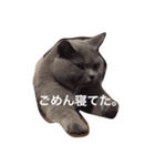こてっちゃん。【関西弁】（個別スタンプ：6）