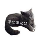 こてっちゃん。【関西弁】（個別スタンプ：7）