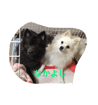 はるときなことそら（個別スタンプ：13）