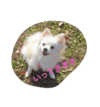 はるときなことそら（個別スタンプ：14）