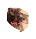 しおっしー（個別スタンプ：7）