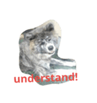 秋田犬のひとりごと+英語（個別スタンプ：13）