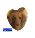 ダックス123（個別スタンプ：4）