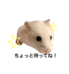 ぽんみる（個別スタンプ：3）