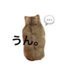 ぽんみる（個別スタンプ：8）