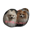 べべ＆ゆゆ＆そあ（個別スタンプ：14）