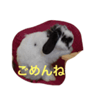 ぷうちゃんくん（個別スタンプ：2）