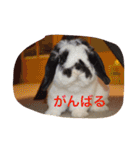 ぷうちゃんくん（個別スタンプ：9）