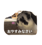 ぷうちゃんくん（個別スタンプ：10）