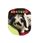 ぷうちゃんくん（個別スタンプ：12）