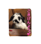 ぷうちゃんくん（個別スタンプ：13）