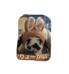 ぷうちゃんくん（個別スタンプ：14）