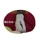 ぷうちゃんくん（個別スタンプ：15）