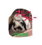 ぷうちゃんくん（個別スタンプ：17）