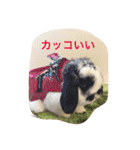 ぷうちゃんくん（個別スタンプ：23）