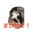 ぷうちゃんくん（個別スタンプ：25）