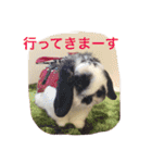 ぷうちゃんくん（個別スタンプ：26）