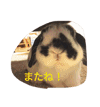 ぷうちゃんくん（個別スタンプ：31）