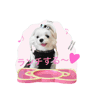 くぅちゃんファッションスタンプpart2（個別スタンプ：3）