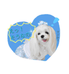 くぅちゃんファッションスタンプpart2（個別スタンプ：5）