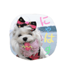 くぅちゃんファッションスタンプpart2（個別スタンプ：18）